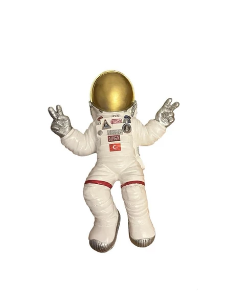 Polyester Astronot