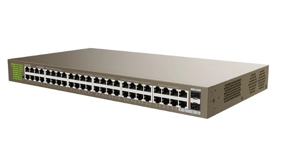 Teg1050f 48 Port 10-100-1000 Mbps 2 Port Sfp Switch Çelik Kasa Rack Mount - 3