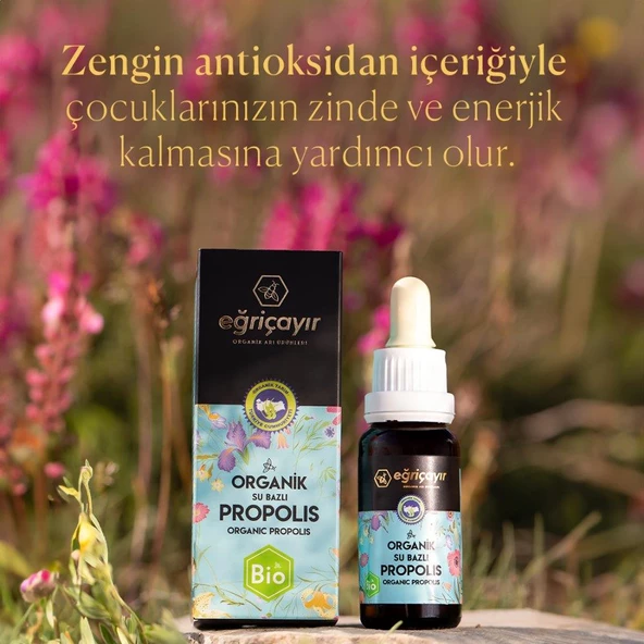 Eğriçayır Organik Propolis Su Bazlı 20 ml - 3