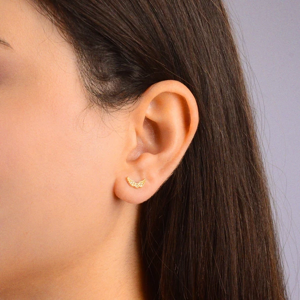 14 Ayar Altın Melek Kanadı Taşlı Küpe 1,01 gr - 2