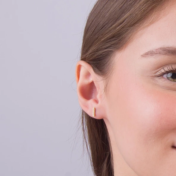 14 Ayar Altın Çubuk Taşlı Küpe 0,86 gr - 4