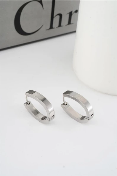 Kadın 316 L Paslanmaz Çelik 2,5 cm Elips Model Küpe ürün görseli