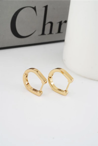 Kadın 316 L Paslanmaz Çelik 1.8 cm Oval Model Küpe ürün görseli