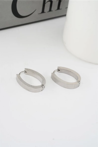 Kadın 316 L Paslanmaz Çelik 2,5 cm Elips Model Küpe - Resim 3