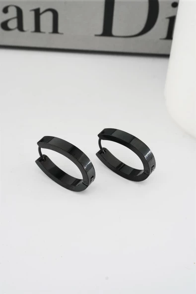 Kadın 316 L Paslanmaz Çelik 2,5 cm Elips Model Küpe ürün görseli