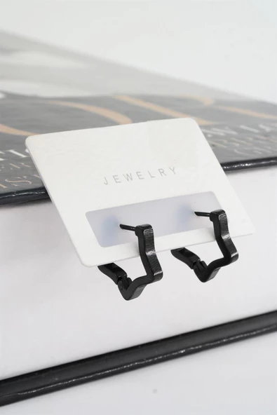 Kadın 316 L Paslanmaz Çelik 2 cm Yıldız Model Küpe ürün görseli