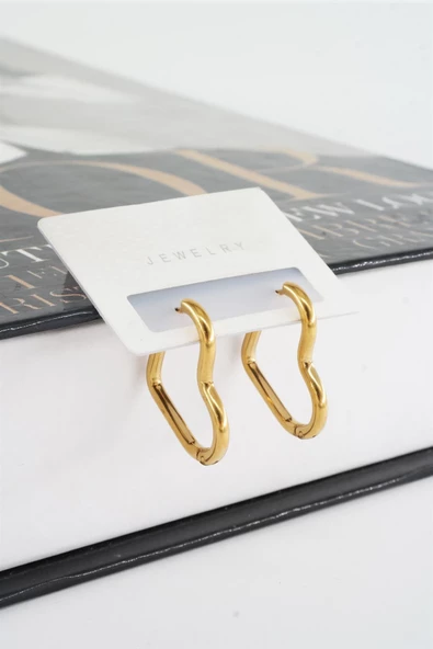 Kadın 316 L Paslanmaz Çelik 2 cm Kalp Model Küpe ürün görseli