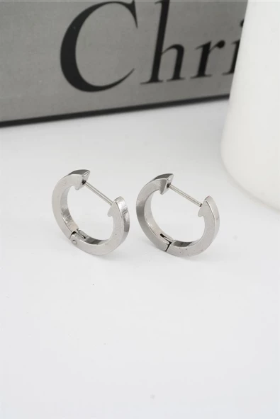 Kadın 316 L Paslanmaz Çelik 2 cm Oval Model Küpe ürün görseli