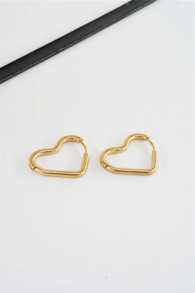 Kadın 316 L Paslanmaz Çelik 2 cm Kalp Model Küpe - Resim 2