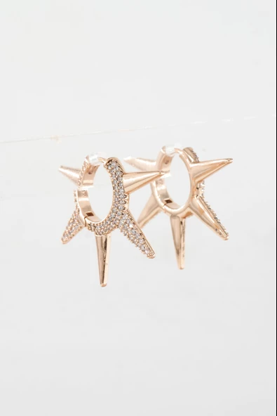 Kadın Vip Seri  Xuping Rose Gold  Küpe Seti ürün görseli