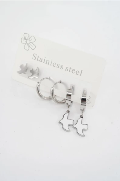 Kadın 316 L Paslanmaz Çelik Kararmaz  6'lı Küpe Seti ürün görseli