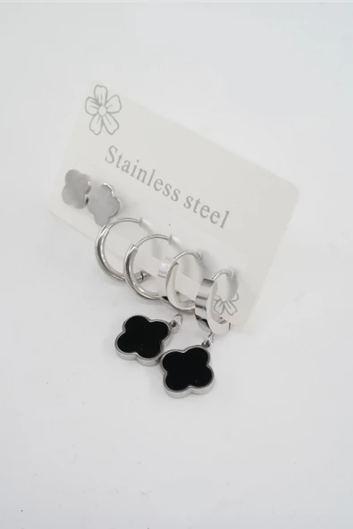 Kadın 316 L Paslanmaz Çelik Kararmaz  6'lı Küpe Seti - Resim 2