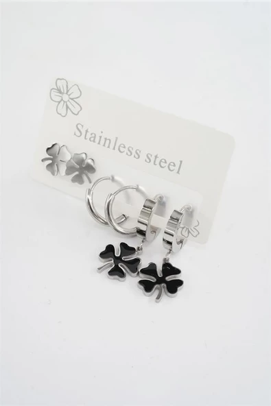 Kadın 316 L Paslanmaz Çelik Kararmaz  6'lı Küpe Seti ürün görseli