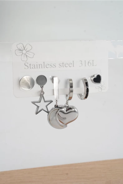Kadın 316 L Çelik Vip Seri Anti alerjenik 6'lı Küpe  STL003 - Resim 2
