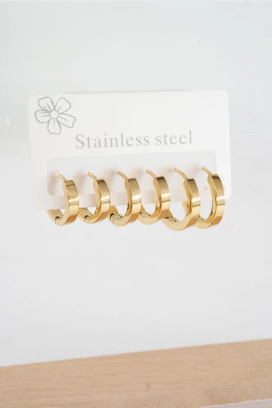 Kadın 316 L Çelik Vip Seri Anti alerjenik 6'lı Küpe  STL001 ürün görseli