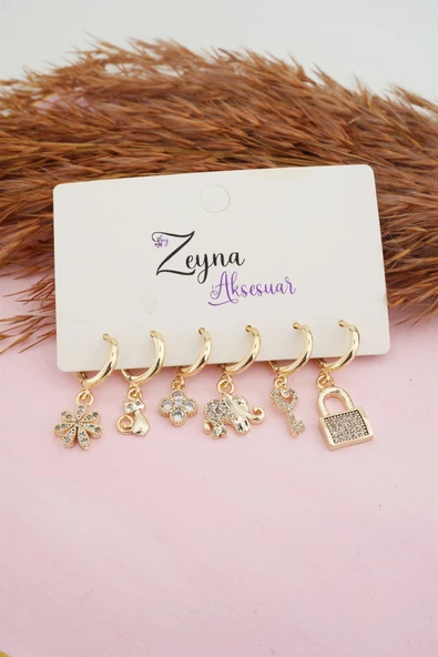 Kadın Karışık Figürlü Zirkon  6'lı Set Küpe