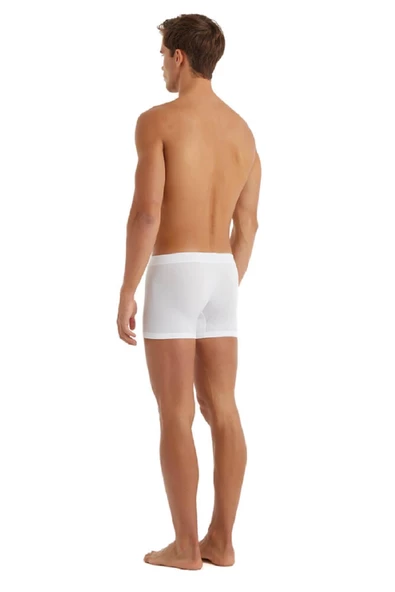 Blackspade 9310 Erkek 2'li Ekonomik Paket %94 Modal Silver Boxer - Resim 8