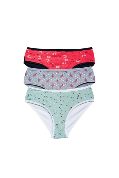 Pamuklu Geniş Kenarlı Likralı Desenli Bato Kadın Külot 3'lü Paket Set1 ürün görseli 1