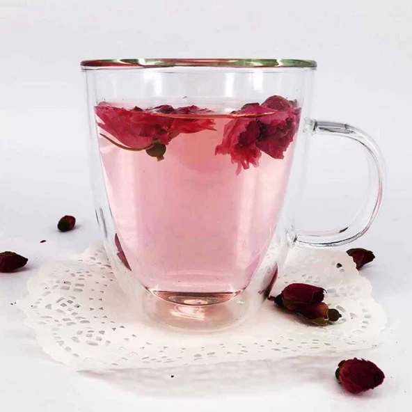Çift Katman Kulplu Bardak 250 Ml (KCB-250) - 2