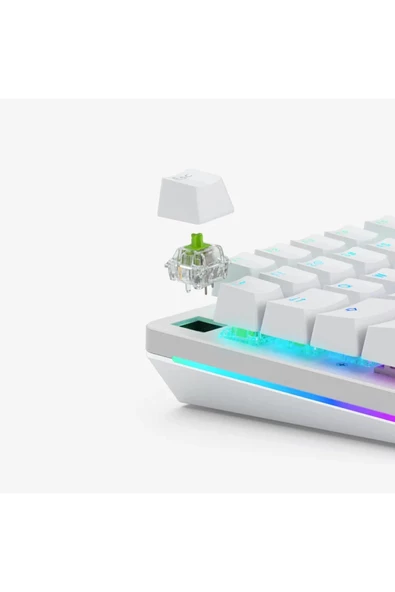 Glorious MX Şeffaf Raptor Yağlanmış 36 Adet Switch - 2