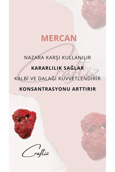 Mercan Kalp Çelik Zincirli Kolye - Doğanın Şifasıyla Aşk ve Huzur Bir Arada - 3