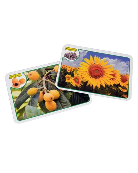 İlk 50 Sözcük Meyve Sebze Eğitici Eşleştirme ve Bilgi Kartları Diytoy - 2