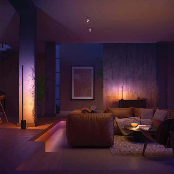 Philips Hue Gradient Signe Akıllı Led Zemin Işığı, Lambader, Siyah