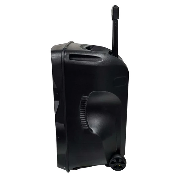 ElectroMaster 38cm Portatif Taşınabilir Mikrofonlu Amfili Seyyar Ses Sistemi+ Karaoke - 4