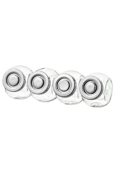 Rajtan Baharatlık Cam Kavanoz 4'lü Set ( 15 Cl ) - 5