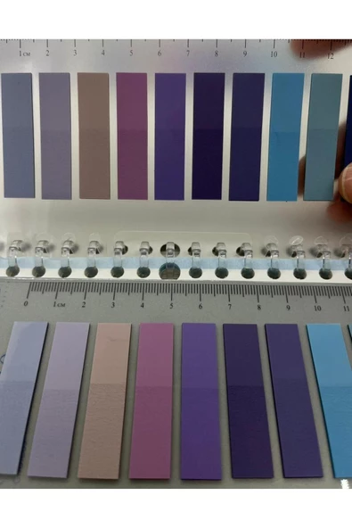 Hayal sepeti 10 Renkli Cetvelli Mor Ve Mavi Tonları Şeffaf Pet Indeks / Index Sticker / Postit - 2