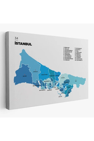 İstanbul  İli ve İlçeler Haritası  Dekoratif Kanvas Tablo 1366