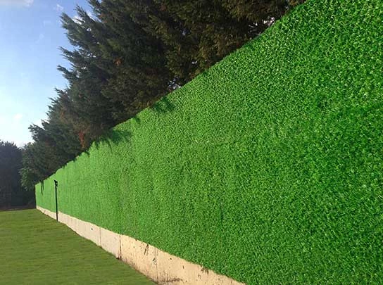 ÇİMÇİT 43 göz  150 cm x 10mt - 3