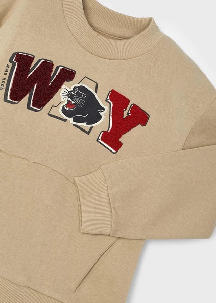 Mayoral Erkek Çocuk Sweatshirt - 3