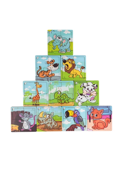 Ahşap  10'Lu Mega Set Afacanlar Eğitici Öğretici Puzzle Çocuklar Için Ahşap Eğitici Öğretici YapBoz - 3