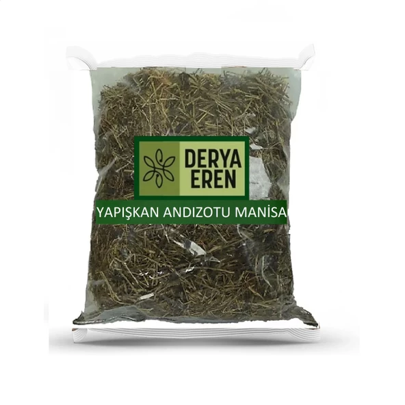 Yapışkan Andız Otu Manisa 500 gr, Derya Eren