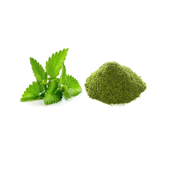 Nane Toz Mint 100 gr, Derya Eren