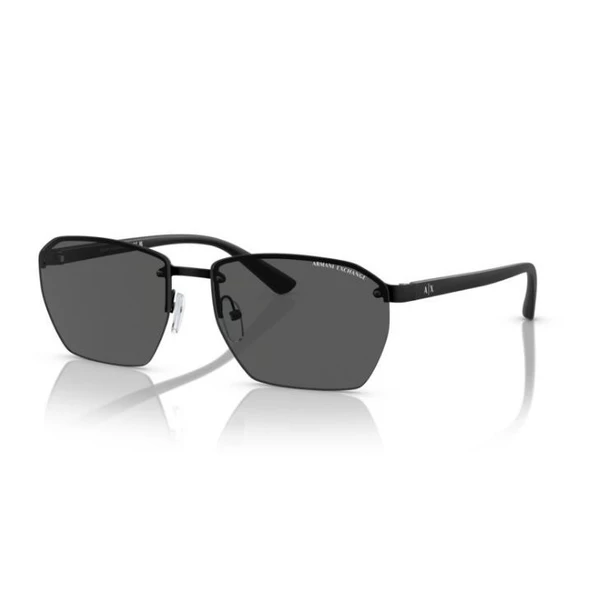 Armani Exchange 0AX2048S 60008759 HN Erkek Güneş Gözlüğü
