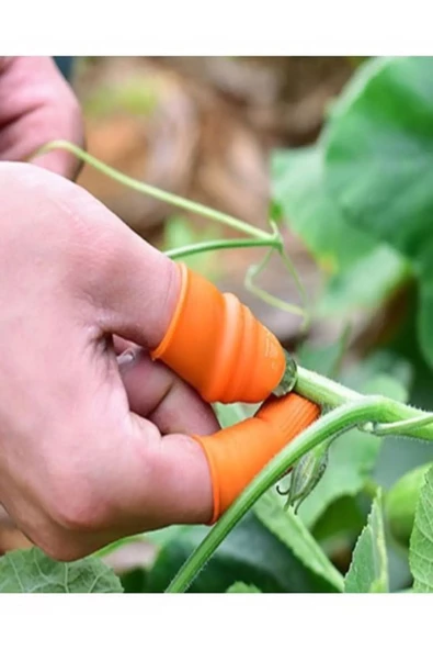 Pratik Baş Parmak Sebze Kesme Ayıklayıcı   -1277 - Resim 4