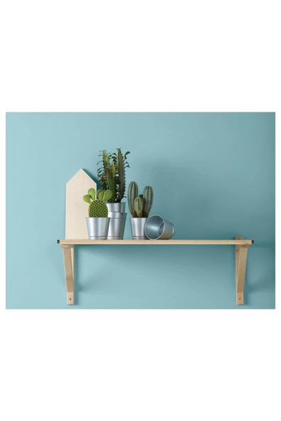Bıntje Galvanizli Çelik Saksı - 9 Cm - 3
