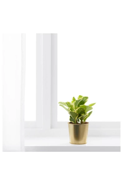 Daıdaı Galvanizli Çelik Saksı - Gold Pirinç Rengi - 9 Cm - 4