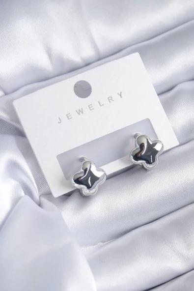 Gümüş Renk Yonca Model Pirinç Kadın Küpe ürün görseli 1