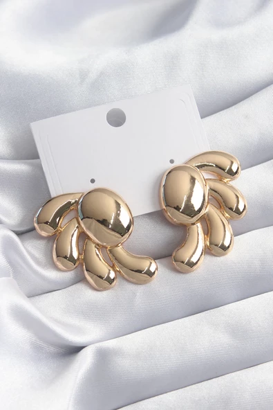 Pirinç Gold Renk Kadın Küpe ürün görseli 1