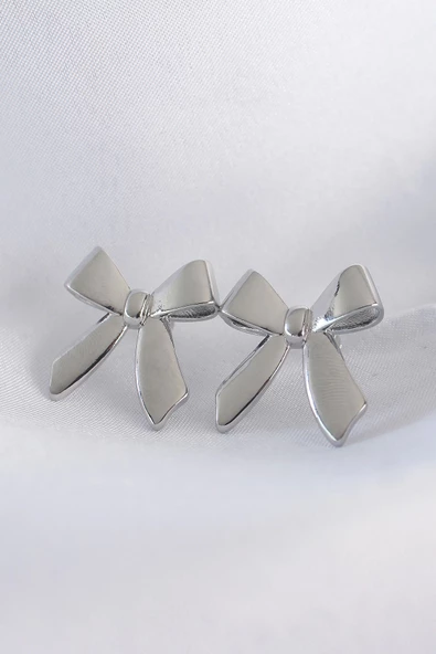 Pirinç Gümüş Renk Düz Plaka Fiyonk Küpe ürün görseli 1