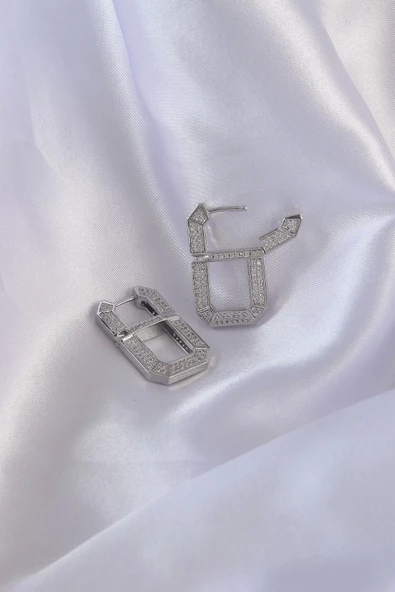 Vip Seri Pirinç Gümüş Renk Zirkon Taşlı Serenay Küpesi - Resim 2