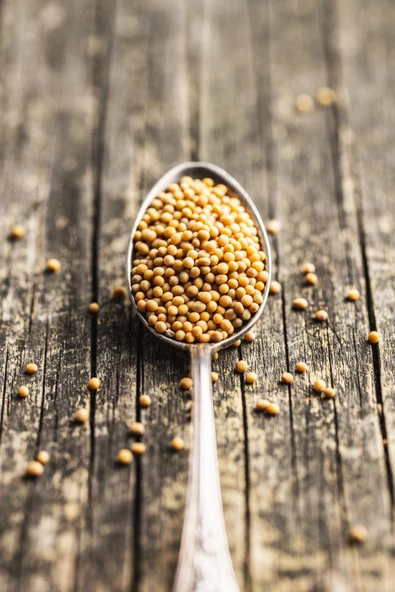 Sarı Hardal Tohumu Deluxe Seri Organik Lezzetli 300 Gr - Resim 5