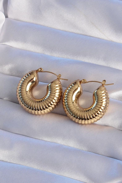 316L Çelik Gold Renk Bombeli Çizgi Plaka Halka Küpe ürün görseli 1