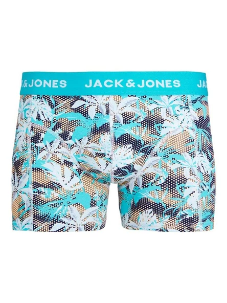 Jack Jones Damıan Erkek Boxer 12253578
