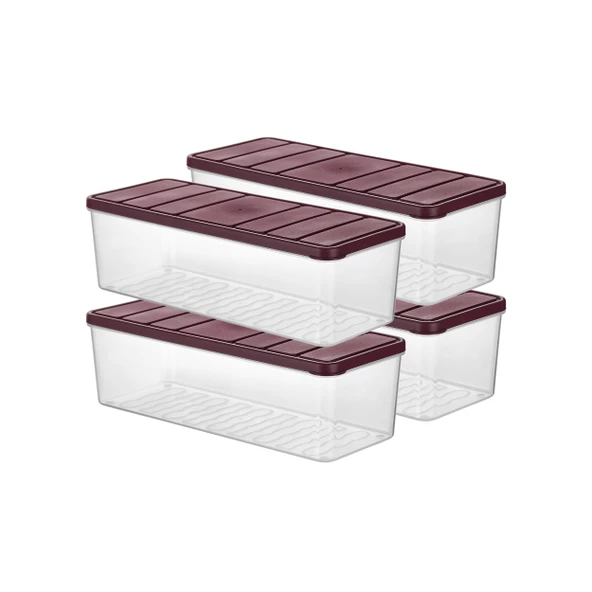 Selka Nora 4 Adet 2 Lt. Saklama Kabı - 9