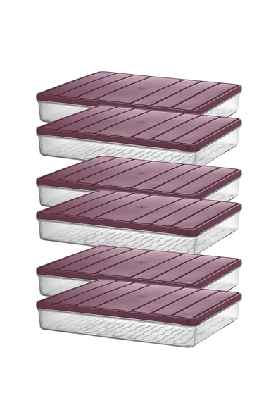 Selka Nora 6 Adet 2,25 Lt. Saklama Kabı - 7