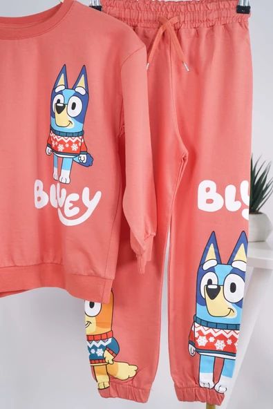 YENİ SEZON OKULA DÖNÜŞ BLUEY DESENLİ BİSİKLET YAKA PAMUK EŞOFMAN TAKIMI - 8
